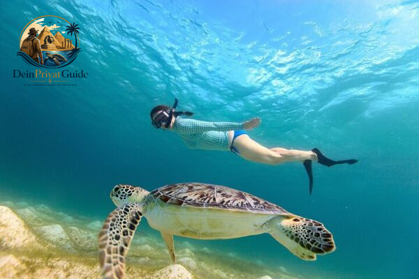 Privater Ausflug zum Abu Dabab Strand ab Marsa Alam mit Schildkroetenschnorcheln