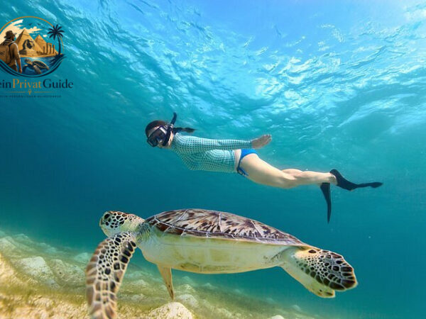 Privater Abu Dabab Ausflug ab Marsa Alam mit Schildkröten