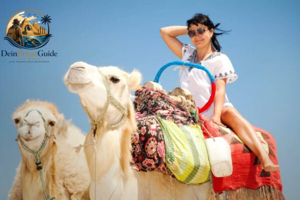 Traditioneller Kamelritt in der Wueste ab Marsa Alam mit Beduinen Tee