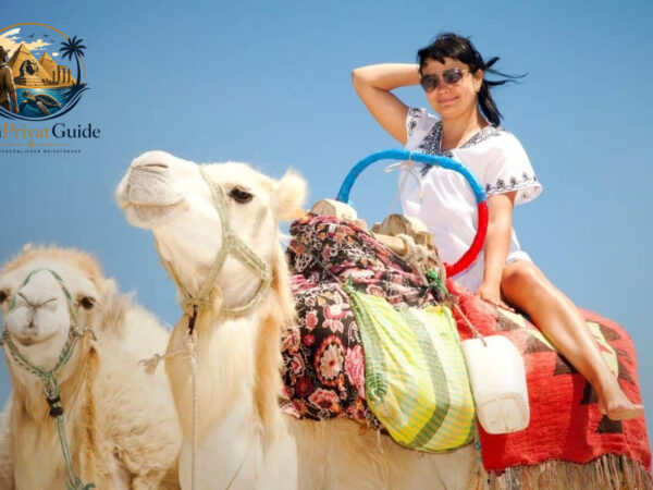 Traditioneller Kamelritt in der Wueste ab Marsa Alam mit Beduinen Tee