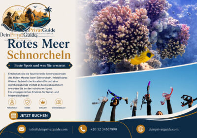 Rotes Meer Schnorcheln – Beste Spots und was Sie erwartet