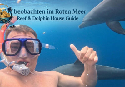 Delfine beobachten im Roten Meer Sataya Reef & Dolphin House Guide