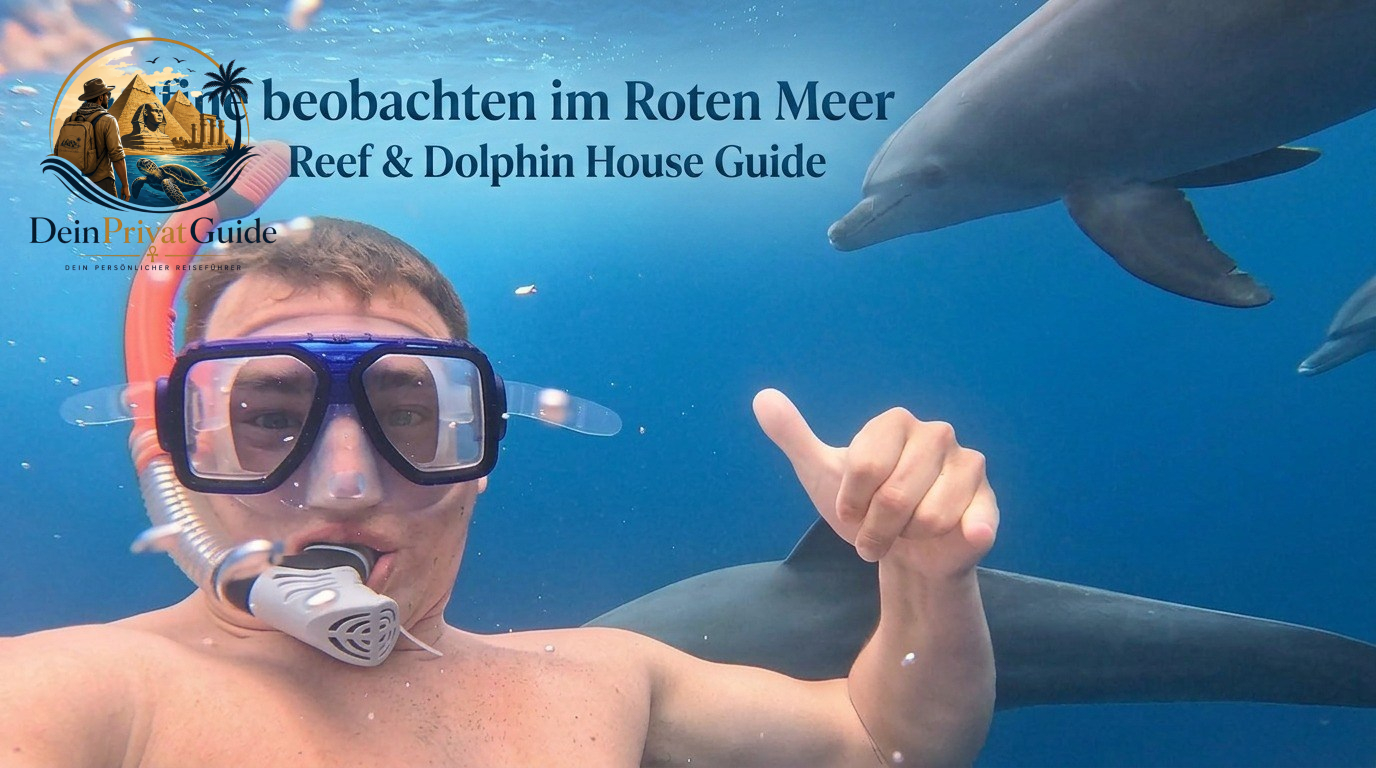 Delfine beobachten im Roten Meer Sataya Reef & Dolphin House Guide