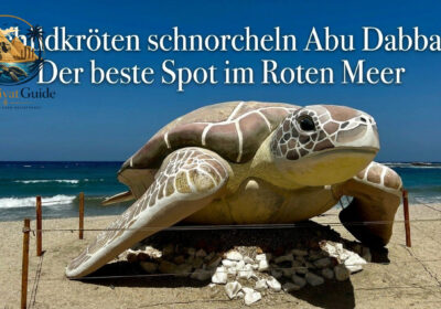 Schildkröten schnorcheln Abu Dabbab Der beste Spot im Roten Meer