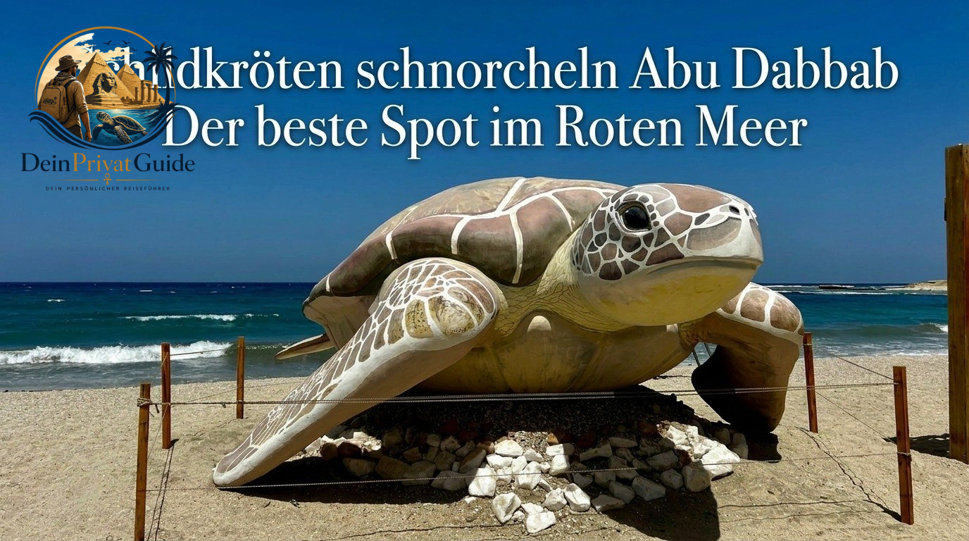 Schildkröten schnorcheln Abu Dabbab Der beste Spot im Roten Meer
