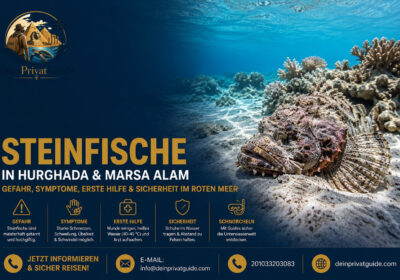 Steinfische in Hurghada & MarsaAlam – Gefahr,Symptome,Erste H ilfe & Sicherheitim Roten Meer