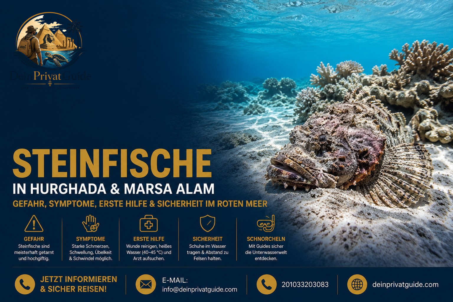 Steinfische in Hurghada & MarsaAlam – Gefahr,Symptome,Erste H ilfe & Sicherheitim Roten Meer