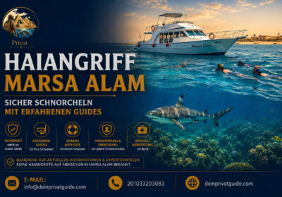 Sicher schnorcheln in Marsa Alam | Risiken & Guide-Tipps