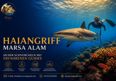 Haiangriff Marsa Alam | Sicher schnorcheln mit erfahrenen Guides