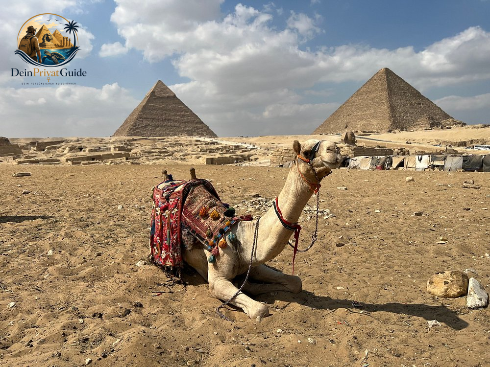 Ägypten Rundreise bester Anbieter | Exklusive Privatreisen mit deutschsprachigem Guide – Bild 26