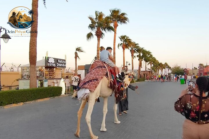 Hurghada Sehenswürdigkeiten | Die schönsten Highlights mit privaten Ausflügen erleben – Bild 9