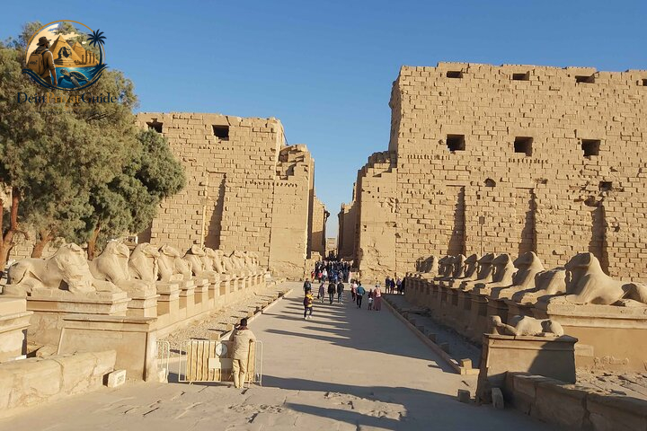 Luxor Ausflug ab El Quseir | Tutanchamun inklusive – Bild 5