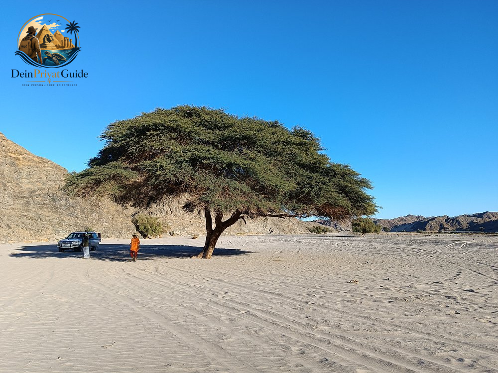 Wadi El Gemal Trekking | 2 Tage Wüstencamp Marsa Alam – Bild 13