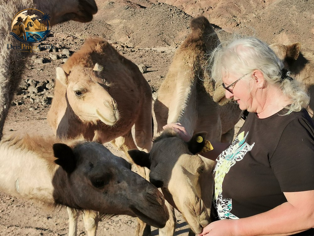 Wadi El Gemal Trekking | 2 Tage Wüstencamp Marsa Alam – Bild 14