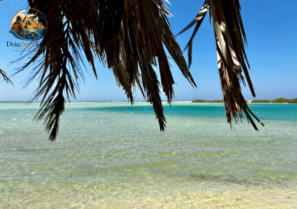 Wadi El Gemal Trekking | 2 Tage Wüstencamp Marsa Alam – Bild 10