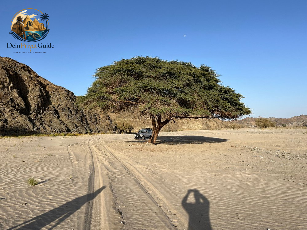 Wadi El Gemal Trekking | 2 Tage Wüstencamp Marsa Alam – Bild 9