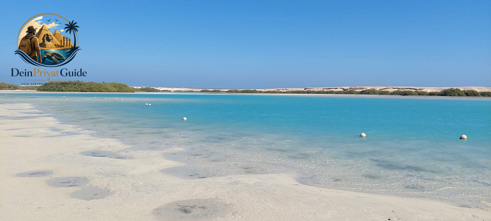 Birdwatching Wadi El Gemal | Naturtour ab Marsa Alam – Bild 13