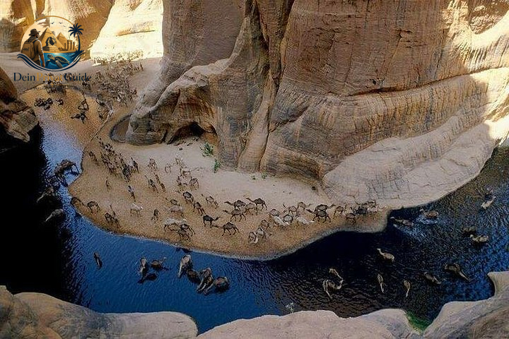Camel Canyon Marsa Alam | Wanderung im Wadi El Gemal – Bild 2