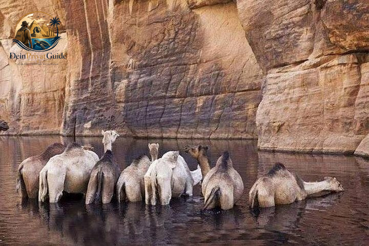 Camel Canyon Marsa Alam | Wanderung im Wadi El Gemal – Bild 1