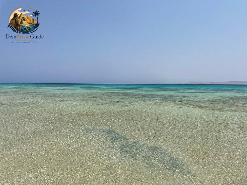 Birdwatching Wadi El Gemal | Naturtour ab Marsa Alam – Bild 6