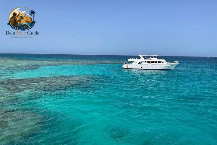 Hochseeangeln Marsa Alam | Private Angeltour – Bild 6