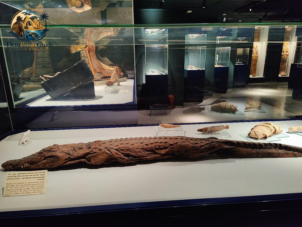 Luxor Museum & Mumifizierungsmuseum | Private Tour – Bild 6
