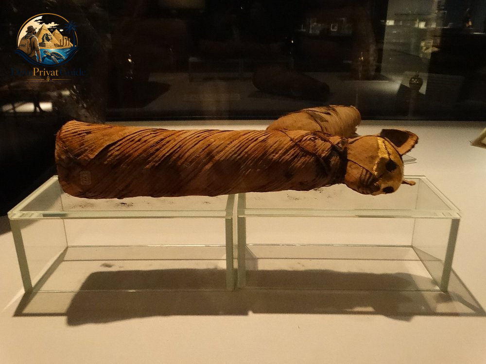 Luxor Museum & Mumifizierungsmuseum | Private Tour – Bild 1