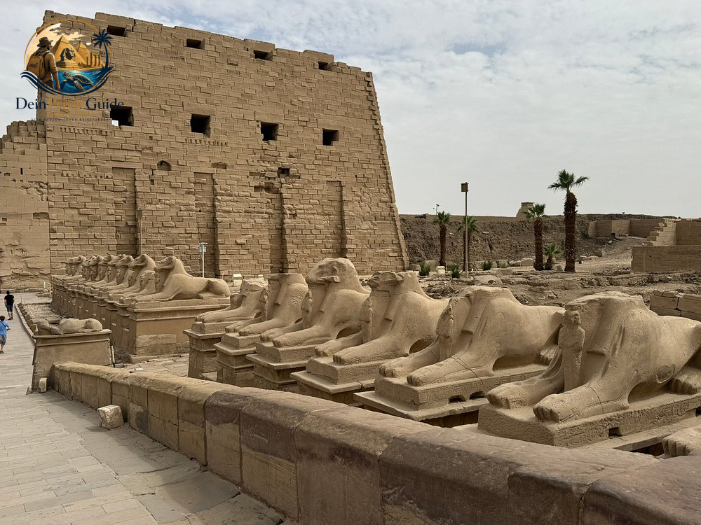 Luxor Ausflug ab Port Ghalib | Tutanchamun inklusive – Bild 5