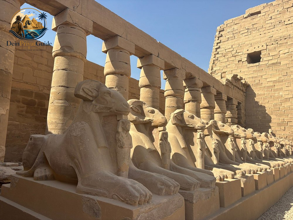 Luxor Ausflug ab El Quseir | Tutanchamun inklusive – Bild 19