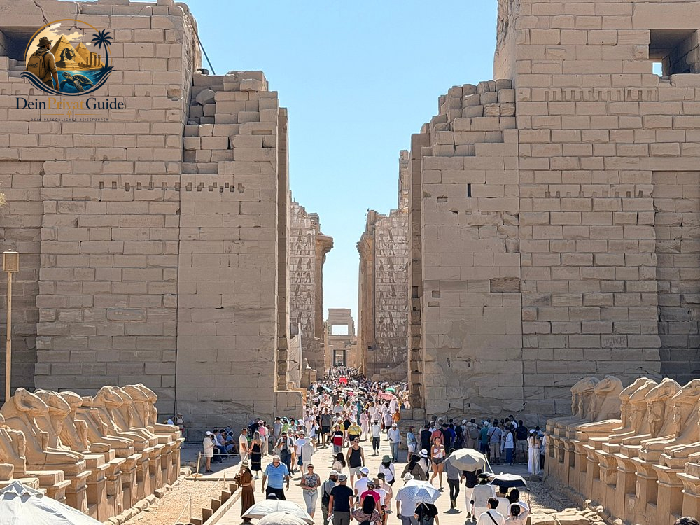 Luxor Ausflug ab El Quseir | Tutanchamun inklusive – Bild 13