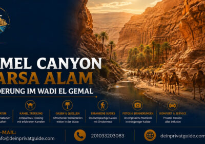 Camel Canyon Marsa Alam | Wanderung im Wadi El Gemal