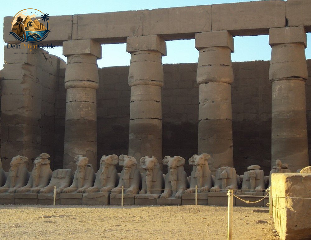 Luxor Ausflug ab El Quseir | Tutanchamun inklusive – Bild 12